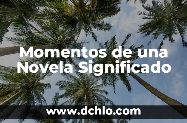 Momentos de una Novela Significado