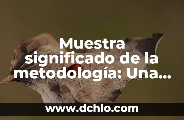 Muestra significado de la metodología: Una guía detallada
