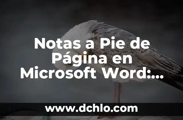 Notas a Pie de Página en Microsoft Word: Guía Definitiva