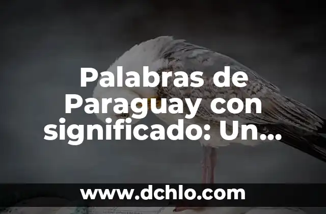 Palabras de Paraguay con significado: Un viaje al alma de su idioma