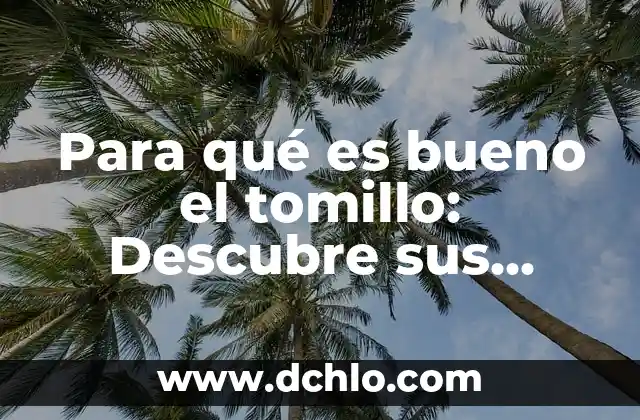 Para qué es bueno el tomillo: Descubre sus beneficios y propiedades medicinales