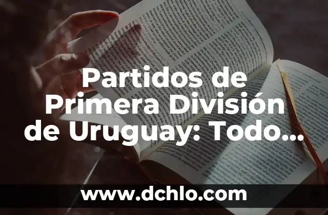Partidos de Primera División de Uruguay: Todo lo que Necesitas Saber