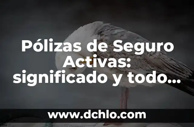Pólizas de Seguro Activas: significado y todo lo que debes saber