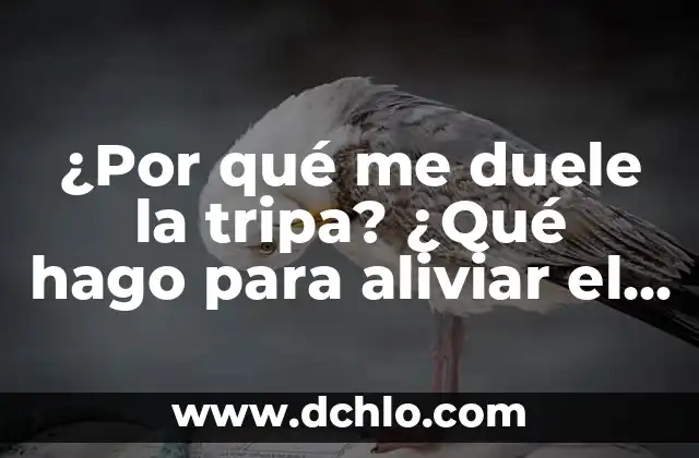 ¿Por qué me duele la tripa? ¿Qué hago para aliviar el dolor abdominal?