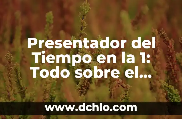 Presentador del Tiempo en la 1: Todo sobre el Profesionista que Predice el Clima