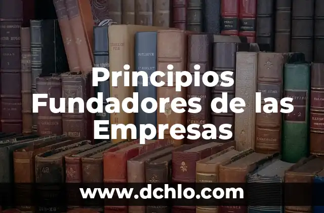 Principios Fundadores de las Empresas
