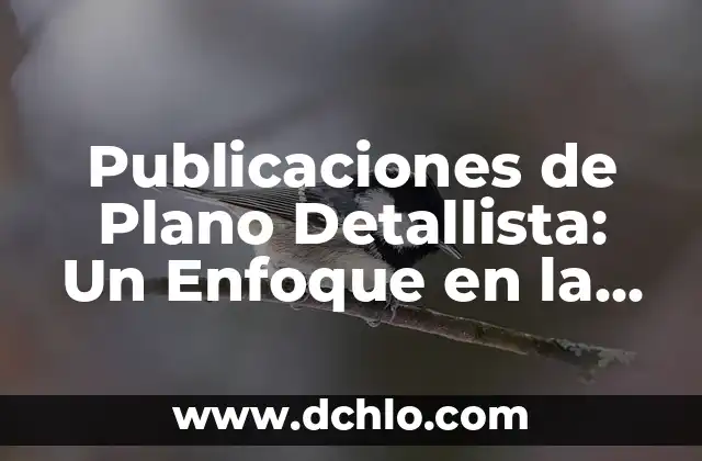 Publicaciones de Plano Detallista: Un Enfoque en la Fotografía y el Cine