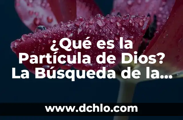 ¿Qué es la Partícula de Dios? La Búsqueda de la Unidad Fundamental