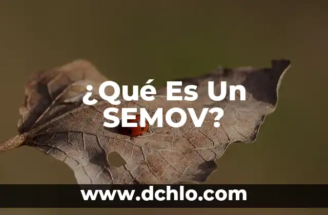 ¿Qué Es Un SEMOV?