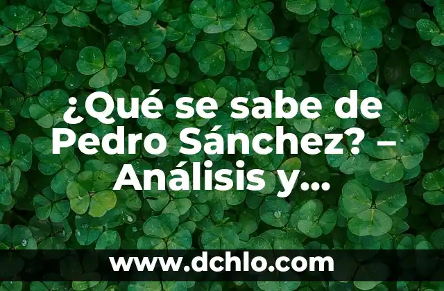 ¿Qué se sabe de Pedro Sánchez? - Análisis y Biografía del Presidente del Gobierno de España