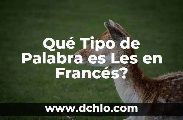 Qué Tipo de Palabra es Les en Francés?