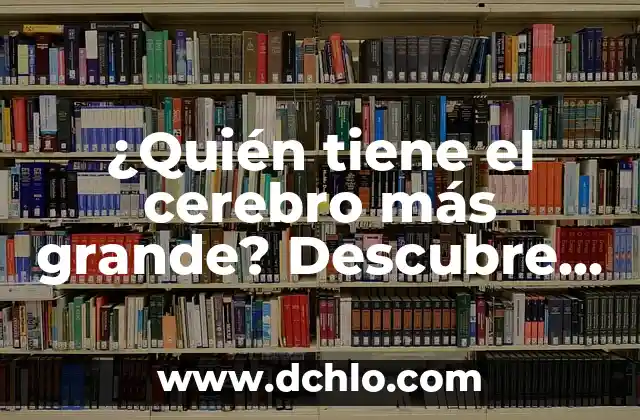 ¿Quién tiene el cerebro más grande? Descubre la respuesta sorprendente