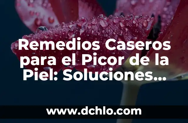 Remedios Caseros para el Picor de la Piel: Soluciones Naturales y Efectivas