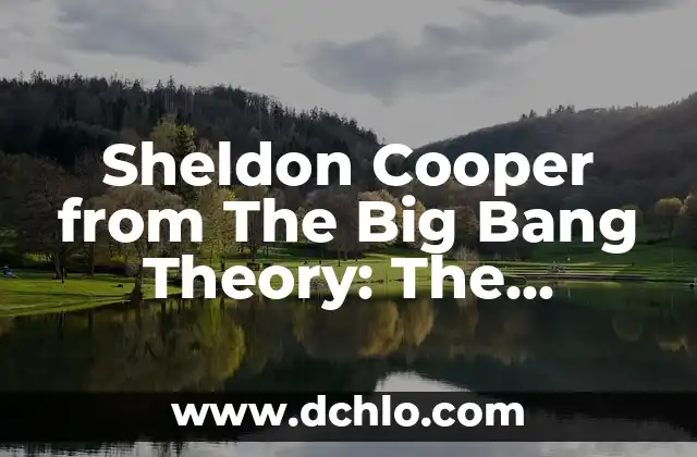 Sheldon Cooper from The Big Bang Theory: The Lovable Genius