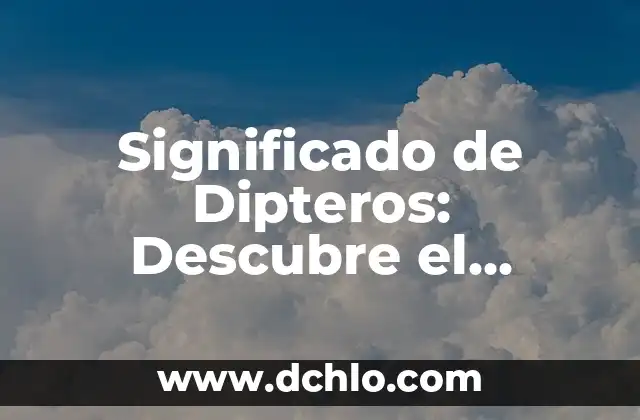 Significado de Dipteros: Descubre el Mundo de las Moscas