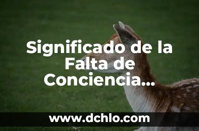 Significado de la Falta de Conciencia Electoral