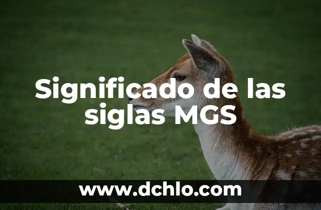 Significado de las siglas MGS