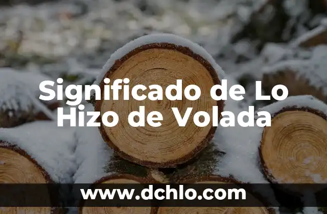 Significado de Lo Hizo de Volada