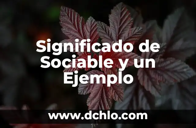 Significado de Sociable y un Ejemplo