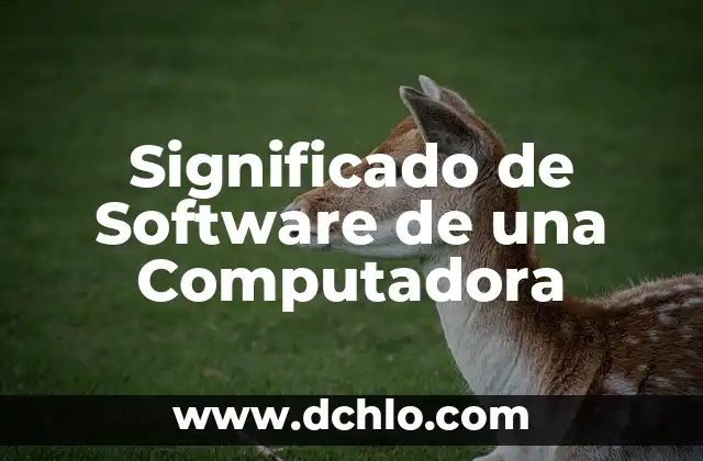 Significado de Software de una Computadora