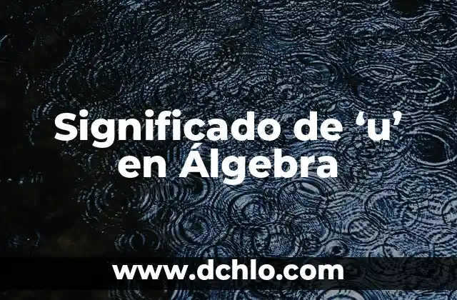 Significado de 'u' en Álgebra