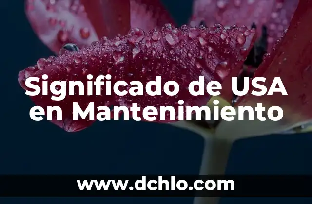 Significado de USA en Mantenimiento