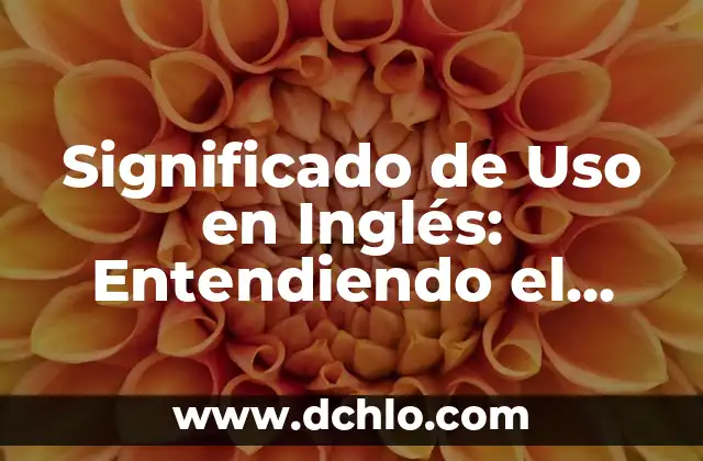 Significado de Uso en Inglés: Entendiendo el Contexto y la Aplicación