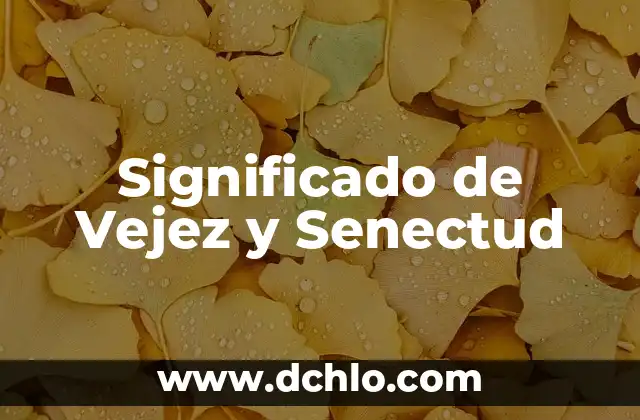 Significado de Vejez y Senectud