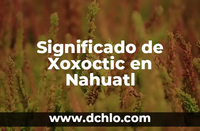 Significado de Xoxoctic en Nahuatl