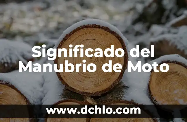 Significado del Manubrio de Moto