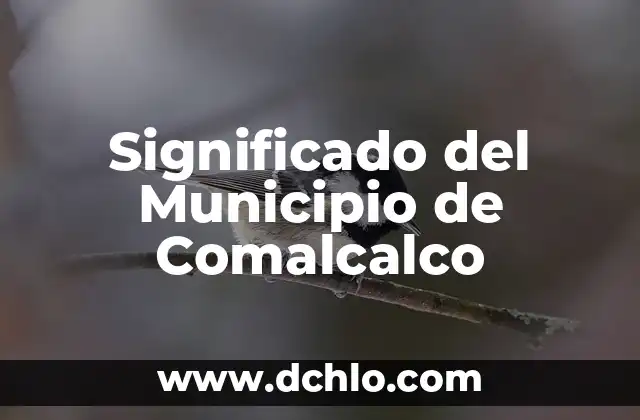 Significado del Municipio de Comalcalco