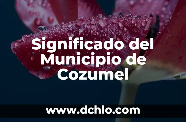 Significado del Municipio de Cozumel