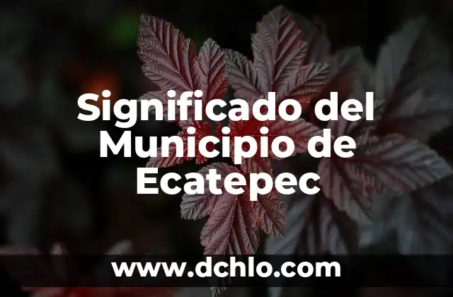 Significado del Municipio de Ecatepec