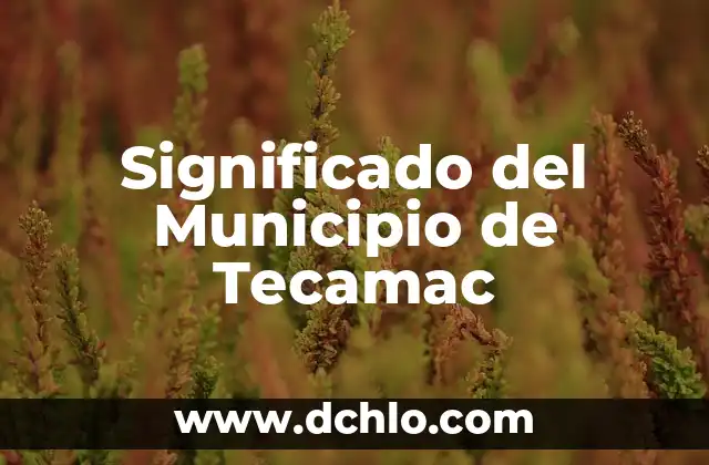 Significado del Municipio de Tecamac