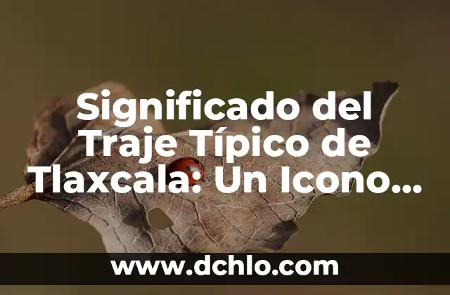 Significado del Traje Típico de Tlaxcala: Un Icono Cultural