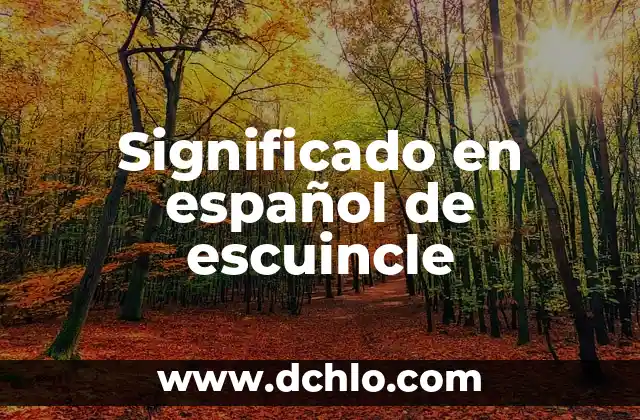 Significado en español de escuincle
