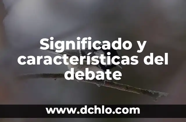 Significado y características del debate