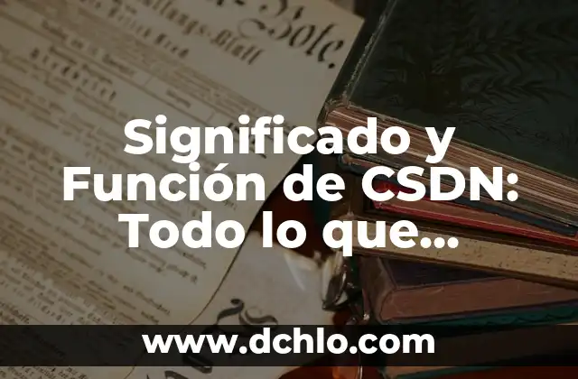 Significado y Función de CSDN: Todo lo que Necesitas Saber