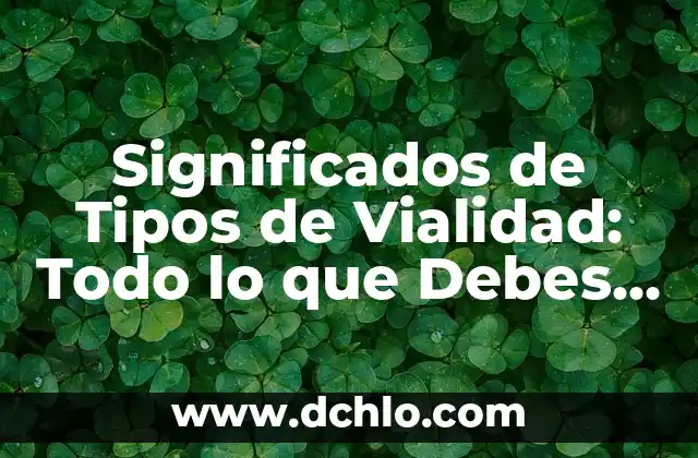 Significados de Tipos de Vialidad: Todo lo que Debes Saber