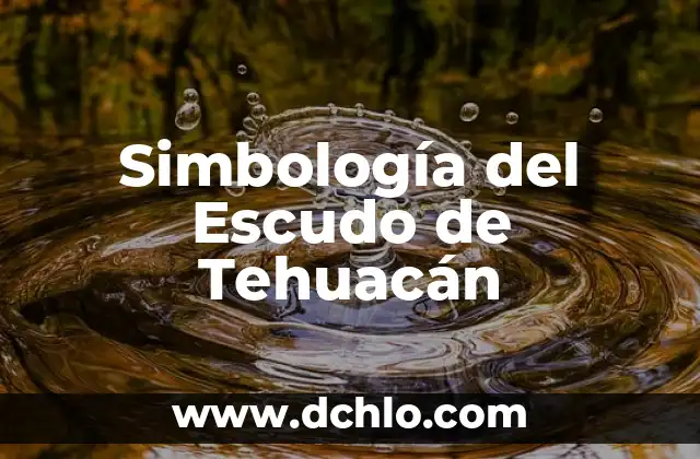 Simbología del Escudo de Tehuacán