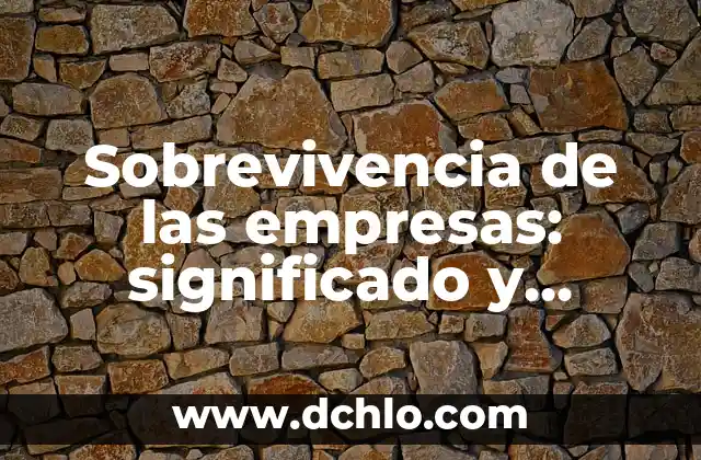 Sobrevivencia de las empresas: significado y relevancia en el entorno empresarial