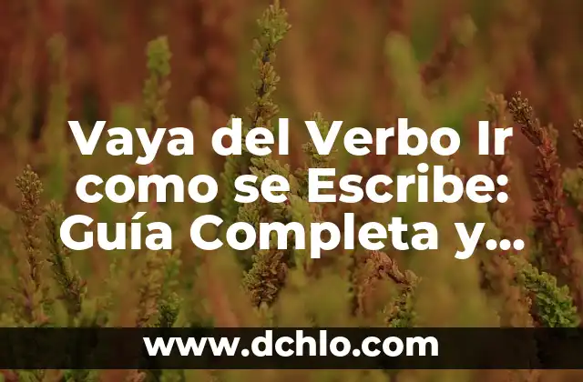 Vaya del Verbo Ir como se Escribe: Guía Completa y Detallada