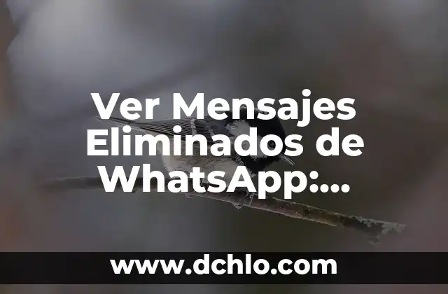 Ver Mensajes Eliminados de WhatsApp: Descubre las Mejores Aplicaciones