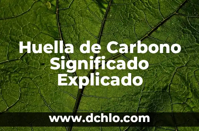 Cómo hacer la huella de mi perro en yeso 3 Huella de Carbono Significado Explicado