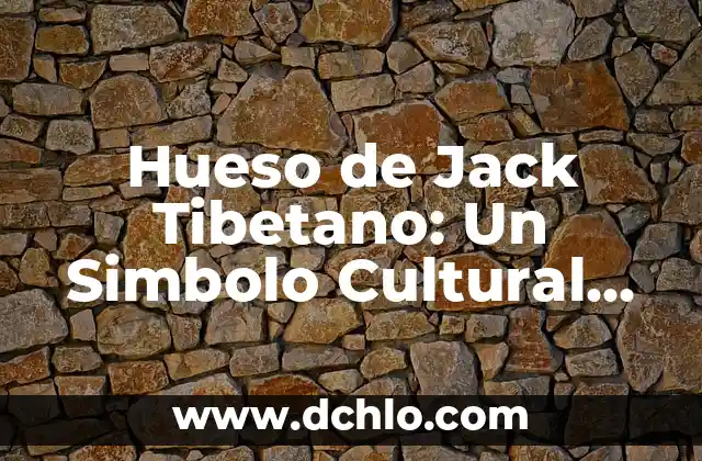 El Significado en Maya de Lolbe: Un Acercamiento Cultural 7 Hueso de Jack Tibetano: Un Simbolo Cultural Profundo