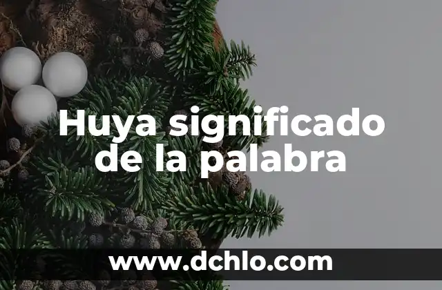 Homofóbica significado de la palabra 3 Huya significado de la palabra