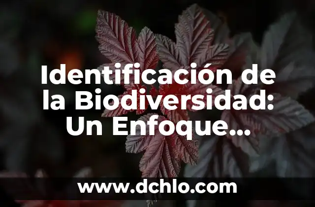 Incidencia de un menor significado: Un enfoque integral 7 Identificación de la Biodiversidad: Un Enfoque Integral