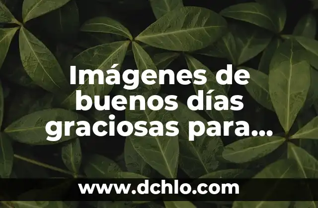 Descargar Películas Gratis y Rápido: Mejores Aplicaciones 3 Imágenes de buenos días graciosas para WhatsApp gratis – Descubre las mejores opciones