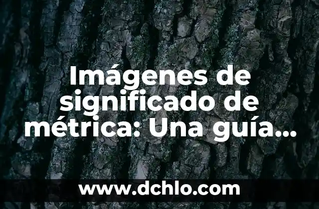 Indagar Sobre el Significado de Algo: La Búsqueda de la Comprensión 5 Imágenes de significado de métrica: Una guía visual para la comprensión de datos