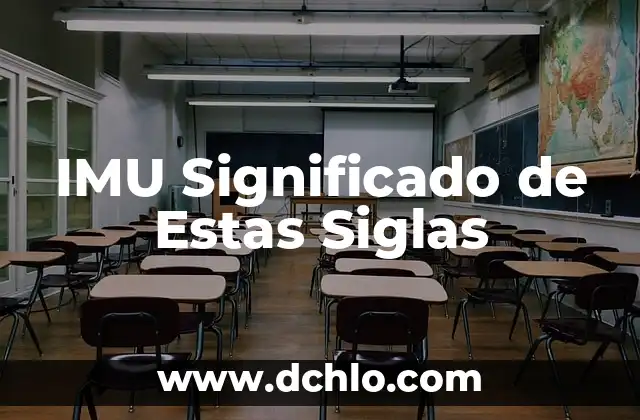 IMU Significado de Estas Siglas